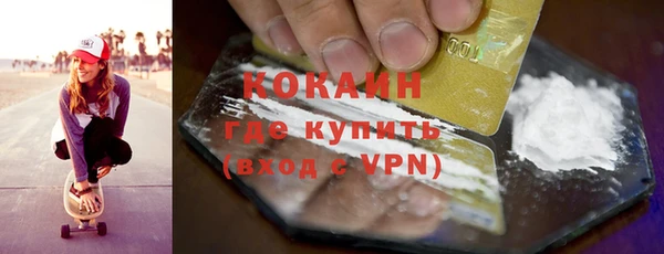 бошки Бронницы