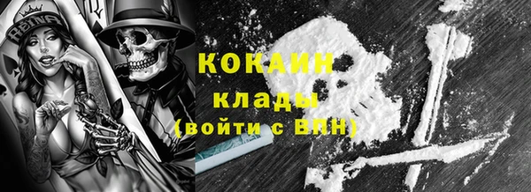 бошки Бронницы