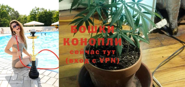 spice Семилуки