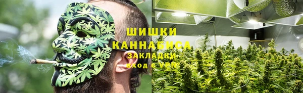 бошки Бронницы